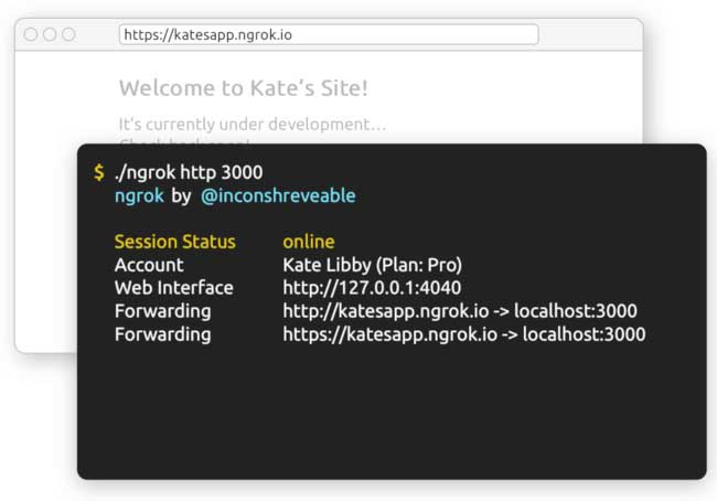 هک اندروید بدون پورت فورواردینگ مودم با Ngrok در کالی لینوکس 2020.3
